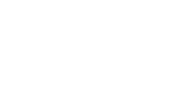 車